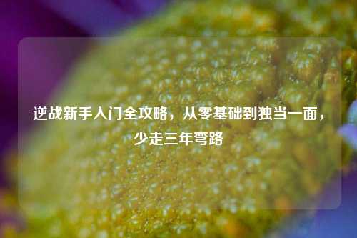 逆战新手入门全攻略,从零基础到独当一面,少走三年弯路