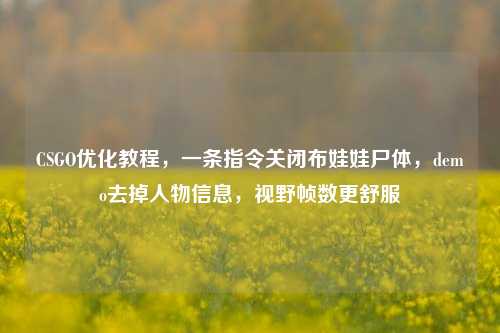 CSGO优化教程,一条指令关闭布娃娃尸体,demo去掉人物信息,视野帧数更舒服