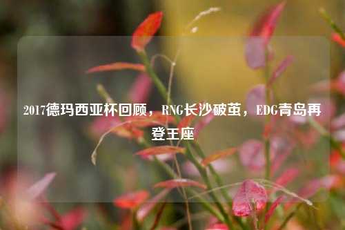 2017德玛西亚杯回顾，RNG长沙破茧，EDG青岛再登王座
