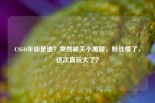 CSGO半仙是谁？突然被关小黑屋，粉丝懵了，这次真玩大了？