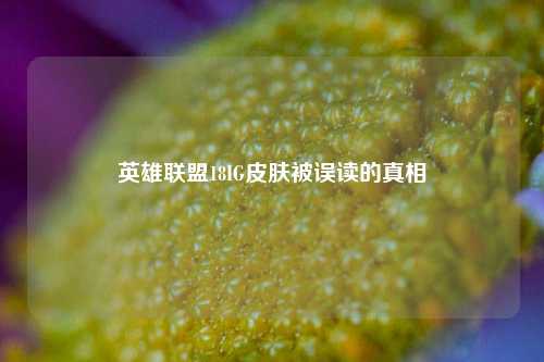 英雄联盟18IG皮肤被误读的真相