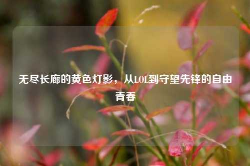 无尽长廊的黄色灯影，从LOL到守望先锋的自由青春