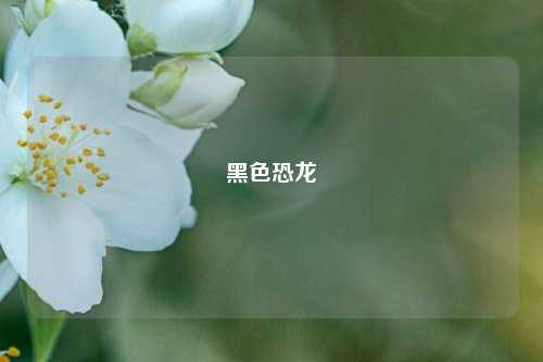 黑色恐龙