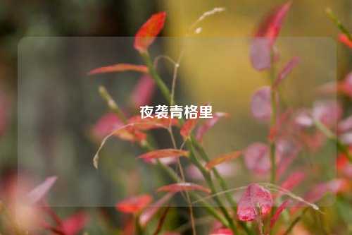 夜袭青格里