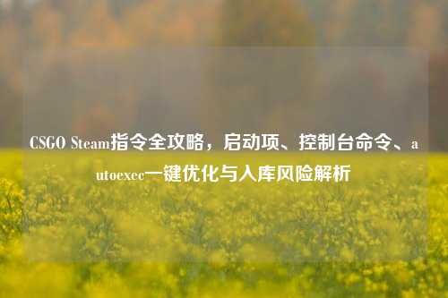 CSGO Steam指令全攻略,启动项、控制台命令、autoexec一键优化与入库风险解析