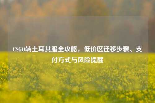 CSGO转土耳其服全攻略,低价区迁移步骤、支付方式与风险提醒