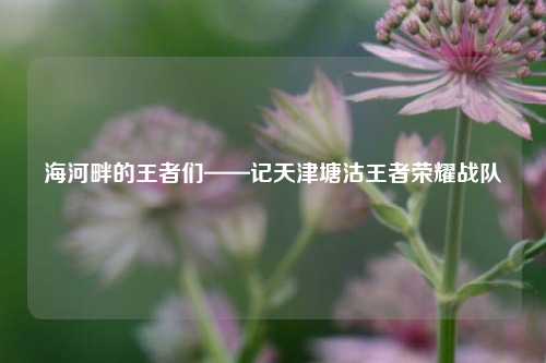 海河畔的王者们——记天津塘沽王者荣耀战队