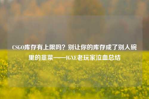 CSGO库存有上限吗？别让你的库存成了别人碗里的韭菜——IGXE老玩家泣血总结