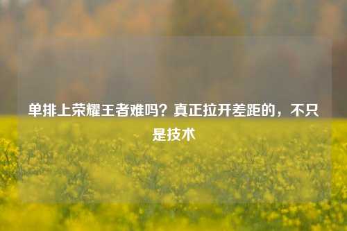 单排上荣耀王者难吗?真正拉开差距的,不只是技术