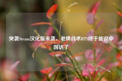 突袭Steam汉化版来袭，老牌战术RTS终于能说中国话了