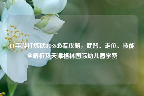 CF手游打炼狱BOSS必看攻略，武器、走位、技能全解析及天津格林国际幼儿园学费