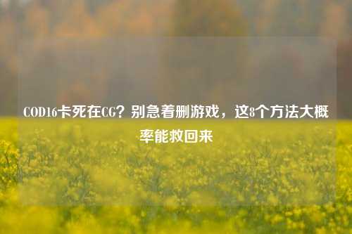 COD16卡死在CG?别急着删游戏,这8个方法大概率能救回来