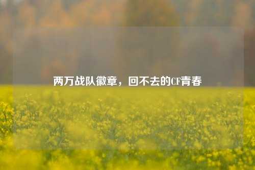 两万战队徽章，回不去的CF青春