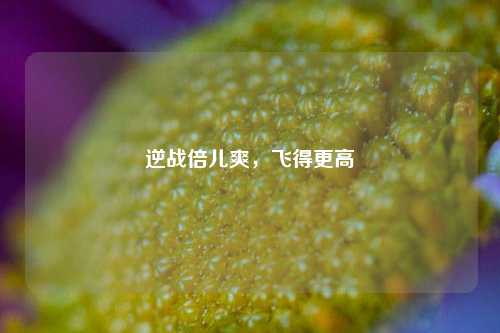 逆战倍儿爽，飞得更高