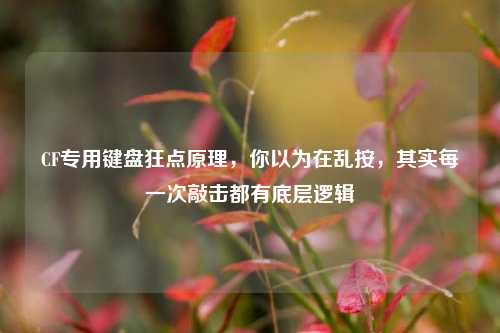 CF专用键盘狂点原理,你以为在乱按,其实每一次敲击都有底层逻辑