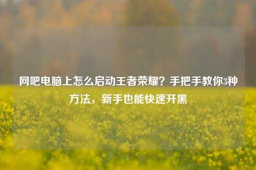网吧电脑上怎么启动王者荣耀?手把手教你3种方法,新手也能快速开黑