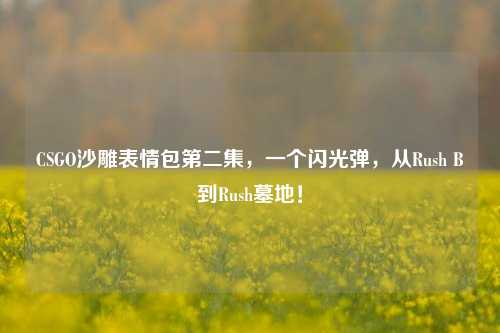 CSGO沙雕表情包第二集,一个闪光弹,从Rush B到Rush墓地!