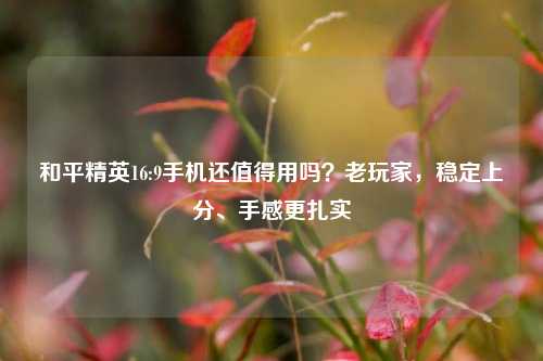 和平精英16:9手机还值得用吗?老玩家,稳定上分、手感更扎实
