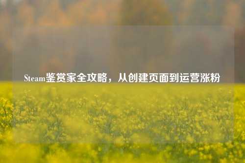 Steam鉴赏家全攻略,从创建页面到运营涨粉