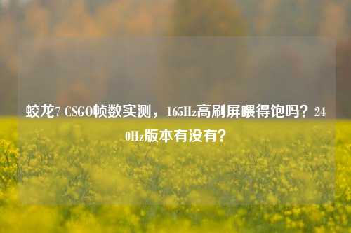 蛟龙7 CSGO帧数实测,165Hz高刷屏喂得饱吗?240Hz版本有没有?