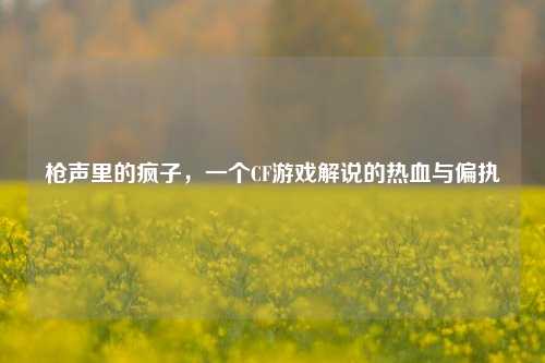 枪声里的疯子，一个CF游戏解说的热血与偏执