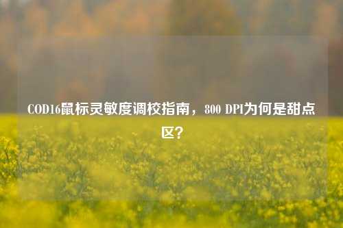 COD16鼠标灵敏度调校指南,800 DPI为何是甜点区?