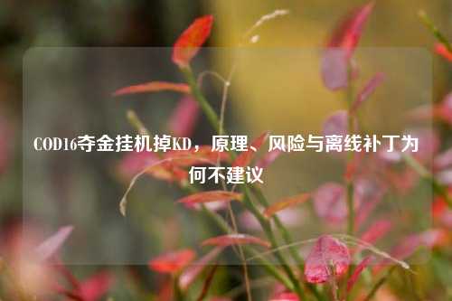 COD16夺金挂机掉KD,原理、风险与离线补丁为何不建议