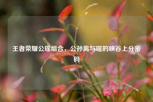 王者荣耀公瑶组合，公孙离与瑶的峡谷上分密码