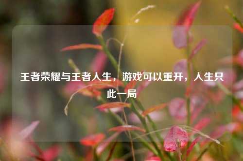 王者荣耀与王者人生，游戏可以重开，人生只此一局