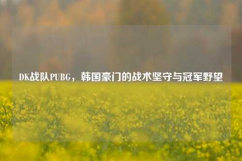 DK战队PUBG,韩国豪门的战术坚守与冠军野望