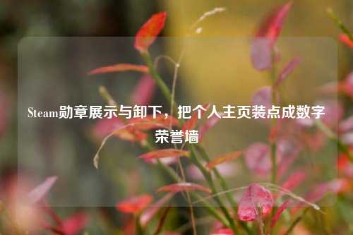 Steam勋章展示与卸下,把个人主页装点成数字荣誉墙