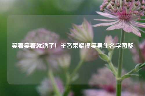 笑着笑着就跪了！王者荣耀搞笑男生名字图鉴