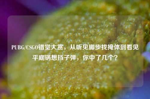 PUBG/CSGO错觉大赏，从听见脚步找掩体到看见平底锅想挡子弹，你中了几个？