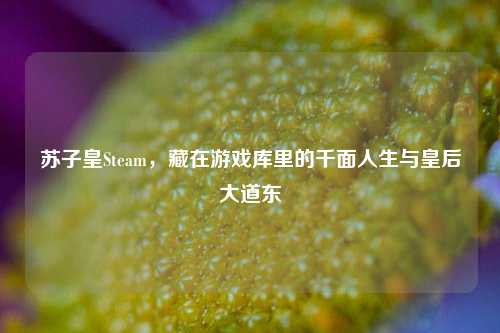 苏子皇Steam，藏在游戏库里的千面人生与皇后大道东