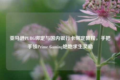 亚马逊PUBG绑定与国内银行卡绑定教程,手把手领Prime Gaming绝地求生奖励