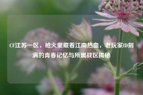 CF江苏一区，枪火里藏着江南热血，老玩家ID刻满的青春记忆与所属战区揭秘