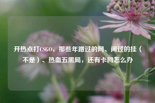 开热点打CSGO，那些年蹭过的网、闹过的挂（不是）、热血五黑局，还有卡网怎么办