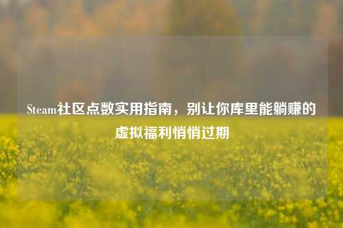 Steam社区点数实用指南，别让你库里能躺赚的虚拟福利悄悄过期