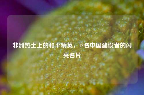 非洲热土上的和平精英，12名中国建设者的闪亮名片