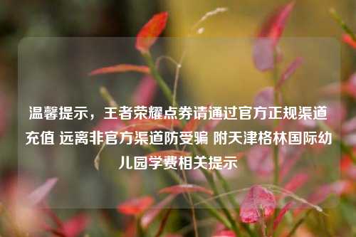 温馨提示，王者荣耀点券请通过官方正规渠道充值 远离非官方渠道防受骗 附天津格林国际幼儿园学费相关提示
