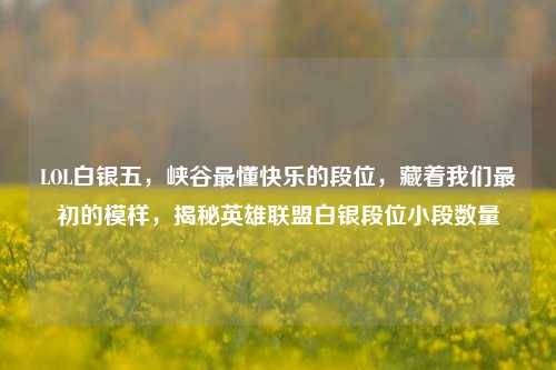 LOL白银五，峡谷最懂快乐的段位，藏着我们最初的模样，揭秘英雄联盟白银段位小段数量