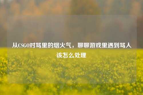 从CSGO对骂里的烟火气,聊聊游戏里遇到骂人该怎么处理