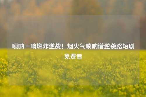 唢呐一响燃炸逆战！烟火气唢呐谱逆袭路短剧免费看