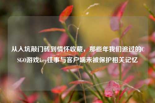 从入坑敲门砖到情怀收藏，那些年我们追过的CSGO游戏key往事与客户端未被保护相关记忆