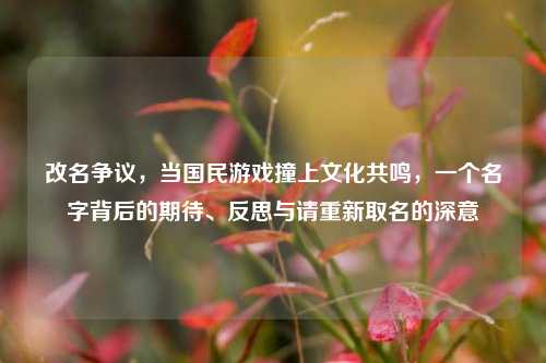 改名争议,当国民游戏撞上文化共鸣,一个名字背后的期待、反思与请重新取名的深意