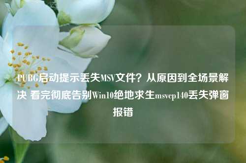 PUBG启动提示丢失MSV文件？从原因到全场景解决 看完彻底告别Win10绝地求生msvcp140丢失弹窗报错