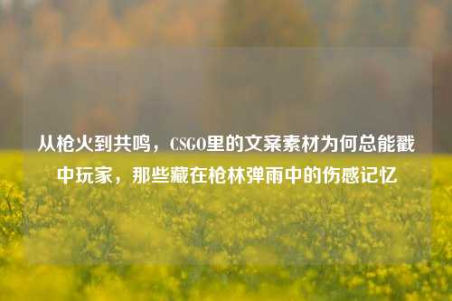 从枪火到共鸣，CSGO里的文案素材为何总能戳中玩家，那些藏在枪林弹雨中的伤感记忆