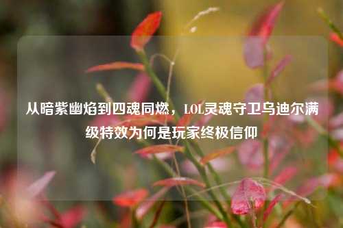 从暗紫幽焰到四魂同燃，LOL灵魂守卫乌迪尔满级特效为何是玩家终极信仰