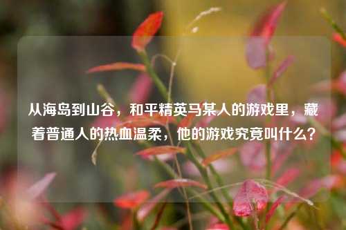 从海岛到山谷，和平精英马某人的游戏里，藏着普通人的热血温柔，他的游戏究竟叫什么？