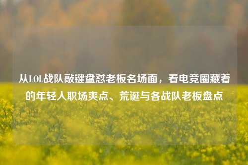 从LOL战队敲键盘怼老板名场面，看电竞圈藏着的年轻人职场爽点、荒诞与各战队老板盘点